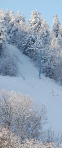 downhill skiing