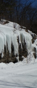 Gatineau Park