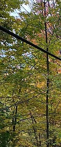 aerial parks