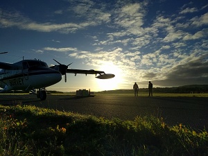 Ireland in the early morning