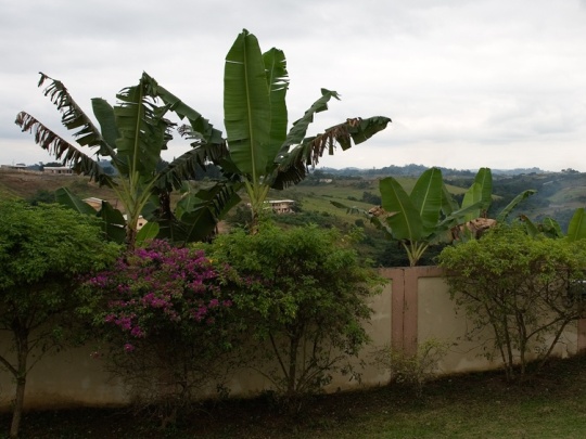 Gabon